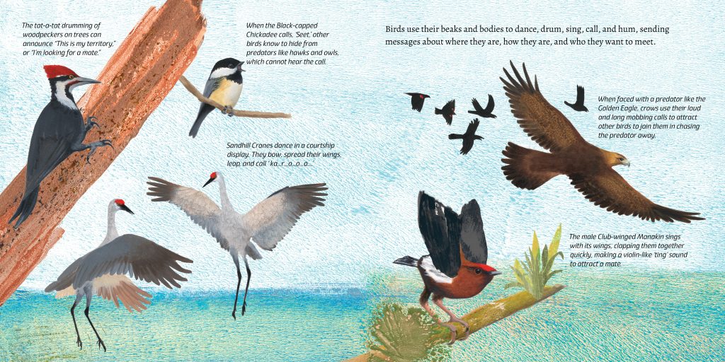 So Many Ways to Be a Bird spread 2